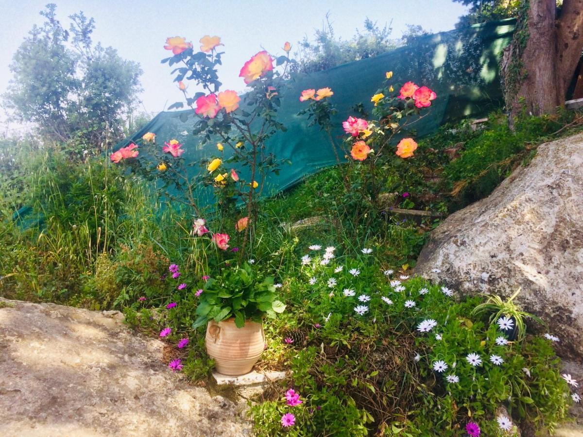 Ermones Odyssesas Bungalow Vátos Dış mekan fotoğraf