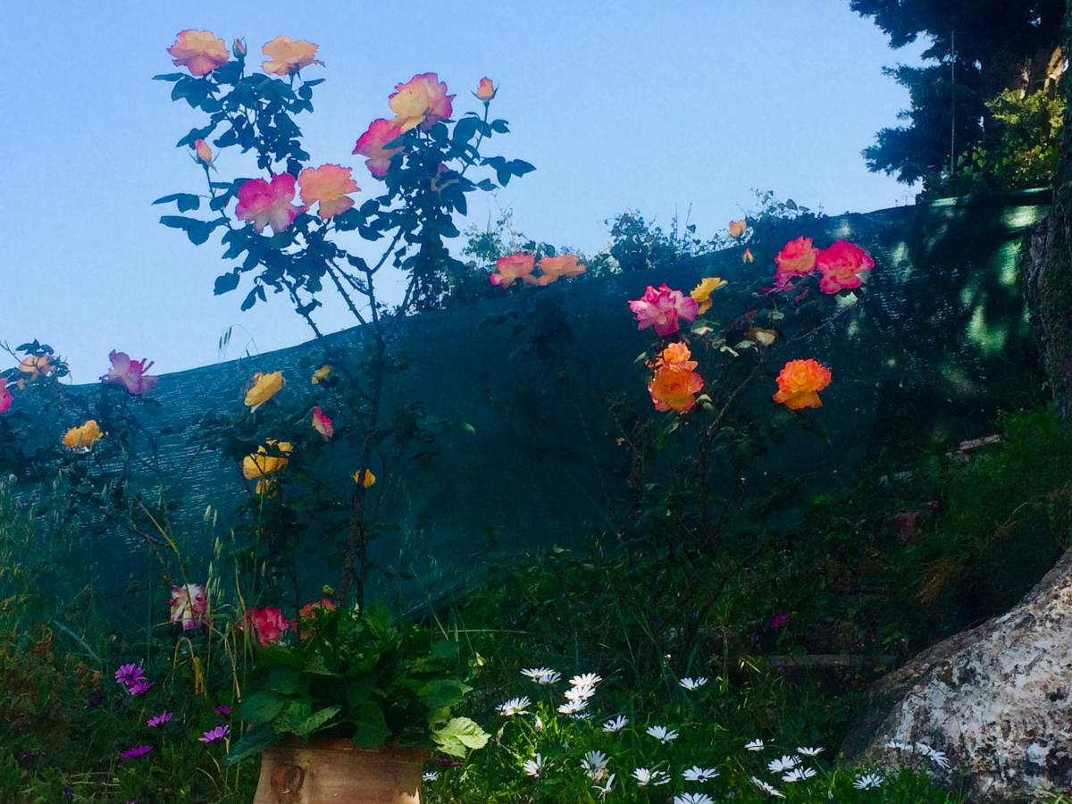 Ermones Odyssesas Bungalow Vátos Dış mekan fotoğraf